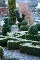The formal topiary garden in frost with knot garden and Buxus topiary chicken