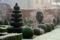The formal garden in frost with Taxus and Buxus topiary - Woodpeckers, Warwickshire