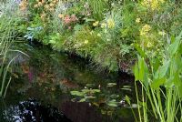 Mixed planting beside Pond - The World of Water Garden - Hampton Court Flower Show 2008