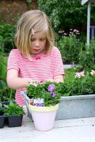Young girl planting windowbox with bedding plants in garden 