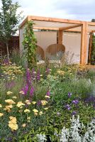 Mixed border of wildflowers and perennials - Papillon Pavilion Garden - Hampton Court Flower Show 2008