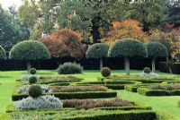 Series of Prunus Lusitanica pruned into umbrella shaped trees in the formal garden -Westbury Court Gardens