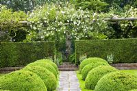 Formal garden with wooden pergola and climbing Rosa 'New Dawn', clipped Taxus and Buxus hedging with view to stone statue