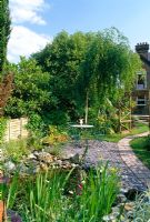 Urban garden with Salix tree, pergola, pond and seating area - Buckhurst Hill Essex