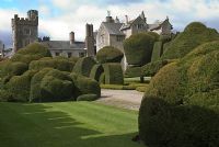 The Topiary Garden with shapes made of Taxus baccata and Buxus sempervirens at Levens Hall, Cumbria in Spring 
