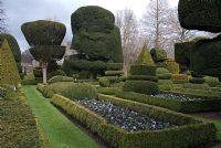 The Topiary Garden with shapes made of Taxus baccata and Buxus sempervirens and beds with Viola and edged with  Buxus sempervirens 'Suffruticosa' at Levens Hall, Cumbria in Spring 