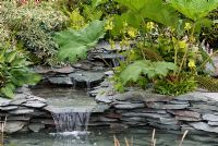 Waterfall using slate and planting with Gunnera, Hosta, Ferns and Cornus in the 'My own little bit of the lakes' garden, Exhibitor - Paul Dyer 'Very interesting water feature and landscape company', Tatton Flower Show 2008