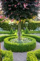Formal garden with paths around central tree