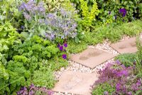 Pathway through mixed herb garden - Ocimum basilicum, Thymus, Allium schoenoprasum, Boragio, Petroselinum crispum and Chamaelum nobile 