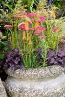 Stone container with Kniphofia, Achillea and Heuchera 