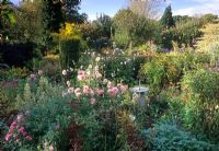 Mixed autumn border with Dahlias, Anemone japonica, Sedum, Aster and Taxus, sundial as focal point - Eastgrove Cottage, Worcs
