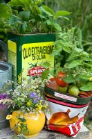 Teapot with wild flower arrangement of Cow Parsely, Vetches, Geranium and Scabious,  recycled plastic plant pot container with tomato plant and recycled tin with strawberry plant