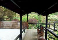 Zen garden - The Japanese Garden, St Mawgan, Cornwall