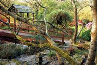 Wooden bridge leading to temple - The Japanese Garden, St Mawgan, Cornwall