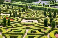 Formal gardens with trained Buxus hedging and topiary at Chateau de Villandry, France