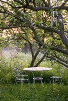 White ironwork table and chairs under an apple tree with Anthriscus sylvestris - Cow Parsley