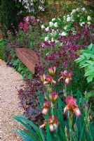Iris and Aquilegia surrounding a wooden seat with gravel path - The Largest Room in the House Garden, RHS Chelsea Flower Show 2008
