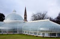 Glasgow Botanic Gardens 2008