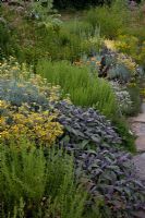 Mixed herbs in border at Riverford Organic