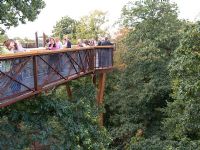 People standing on Xstrata tree top walkway, Kew Gardens.