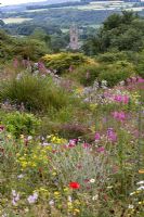 Meadow planting at The Garden House , Buckland Monachrorum, Devon. Church in the distance forms focal point. 