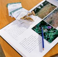 Garden journal, seed packets and dried seed pods on table
