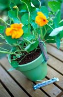 Hooks which fit onto pots or containers with or without a rim allowing them to be hung from a wall