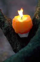 Candles cast from pumpkin skins