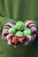 Man holding freshly picked brussels sprouts in gloved hands