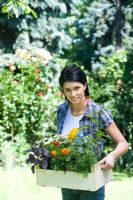 Woman in garden holding box of mixed plants and flowers