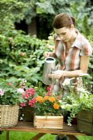 Woman watering containers of flowers in garden