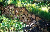 Turf covered log wall as a wildlife haven in the 'Four Winds Garden', RHS Hampton Court Flower Show