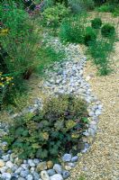 Garden in August with Heuchera planted in gravel and pebbles in 'dry river bed' style. Designed by Alan Titchmarsh at Barleywood, Hampshire.