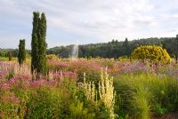 Mixed perennials and grasses including Helenium 'Moerheim Beauty', Veronicastrum 'Spring Dew', Verbena bonariensis - Irish Yew in The Italian Garden with Fountain at Trentham designed by Tom Stuart-Smith