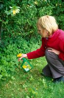 Woman spraying weeds with weedkiller