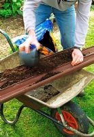 Man filling guttering with compost before 
sowing row of lettuce seeds