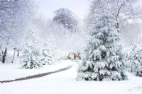 Snow covered trees and path at Honeybrook House Cottage, Worcestershire in April