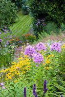 Phlox 'Lucs Lilac' in mixed border with Rudbeckias, Heleniums and Verbena bonariensis - Honeybrook House Cottage, Worcestershire