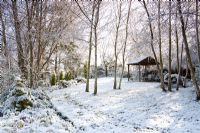 Birch trees and gazebo in the snow at Honeybrook House Cottage, Worcestershire