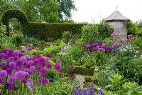 Borders with alliums including Allium hollandicum and box hedges with a wooden gazebo and yew hedge at Dial Park in Worcestershire