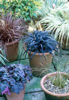 Containers of grasses in Winter Garden - Woodpeckers, Warwickshire NGS