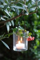 Candle holder decorated with Vinca minor foliage and Cotoneaster berries hanging in olive tree