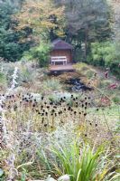 Seedheads with gazebo and wildlife pond in the background at Honeybrook House Cottage, Worcestershire