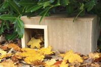 Step by step 10 of making a hedgehog house - The finished wooden box in sheltered garden spot beneath shrubs