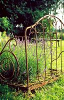 Old rusty bedframe in garden overgrown with flowers - Lower Severalls