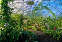 The Bio-Dome containing plants originating in tropical rain forests in 'The Garden of Eden' at the RHS Chelsea Flower Show