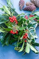 Bunch of Christmas foliage - holly, ivy  and mistletoe