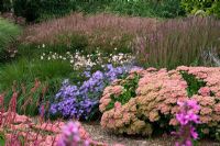 Perennial border with Sedum 'Autumn Joy', Aster frikartii 'Monch', Anemone tomentosa 'Robustissima' and Lythrum 'Fire Candle' - Lady Farm, Somerset