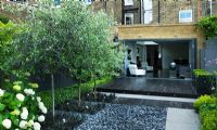 Small contemporary garden with black stained deck and Catalpa underplanted with  Ophiopogon set into grey polished pebbled patio area - London