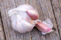 Garlic bulb with a garlic clove